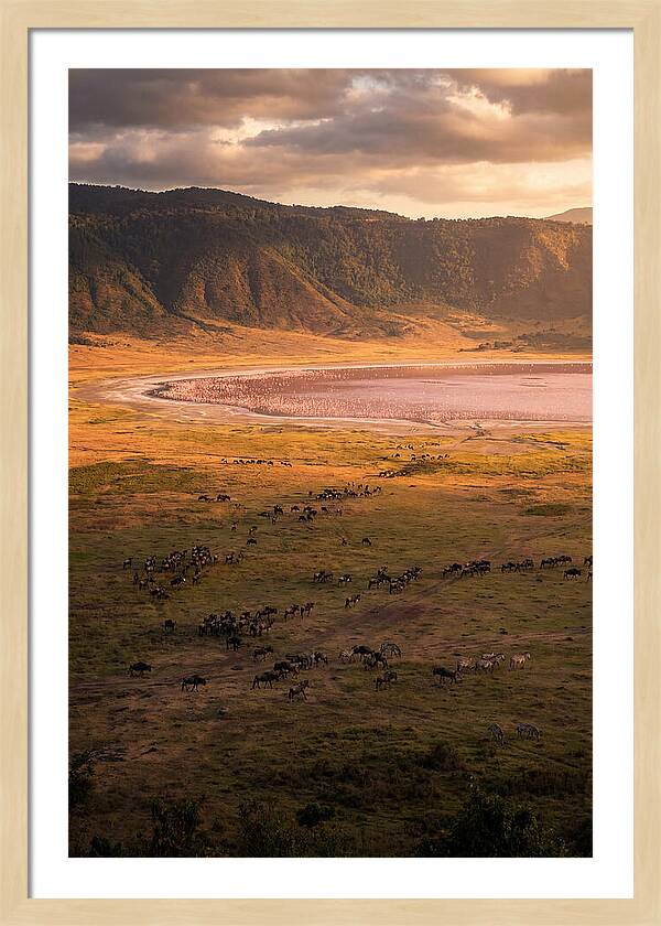 Ngorongoro Crater At Golden Hour