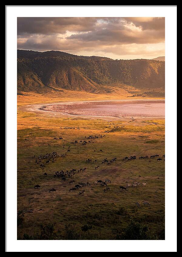 Ngorongoro Crater At Golden Hour