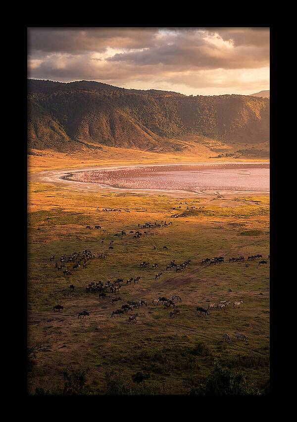 Ngorongoro Crater At Golden Hour