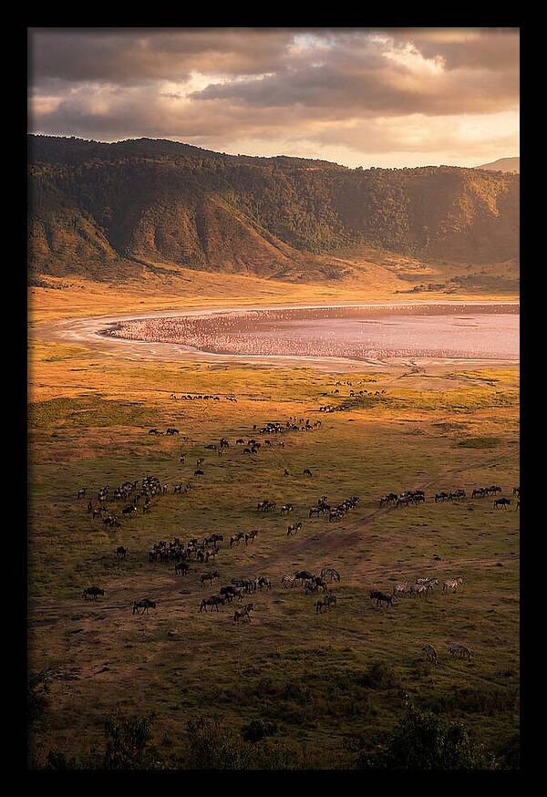 Ngorongoro Crater At Golden Hour