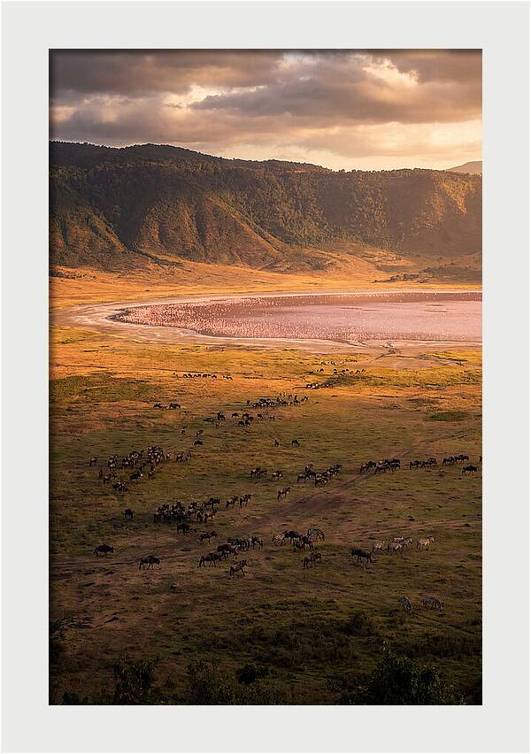 Ngorongoro Crater At Golden Hour