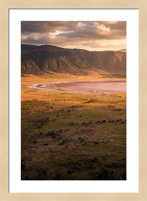 Ngorongoro Crater At Golden Hour