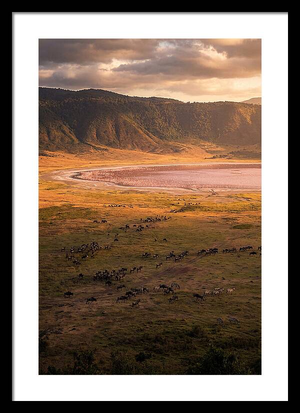Ngorongoro Crater At Golden Hour