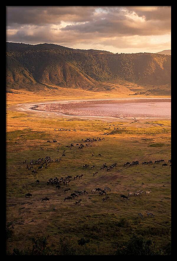 Ngorongoro Crater At Golden Hour
