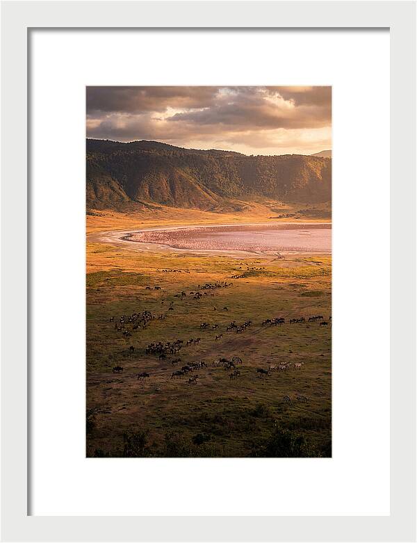 Ngorongoro Crater At Golden Hour