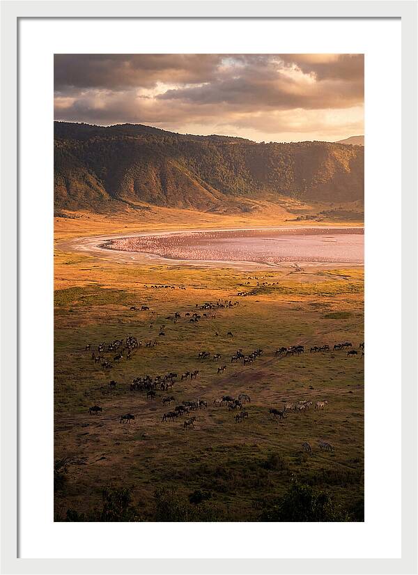 Ngorongoro Crater At Golden Hour