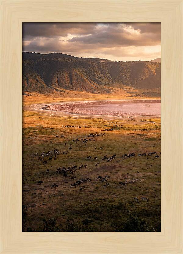 Ngorongoro Crater At Golden Hour
