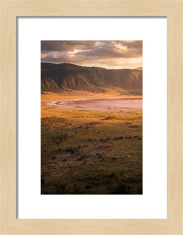 Ngorongoro Crater At Golden Hour