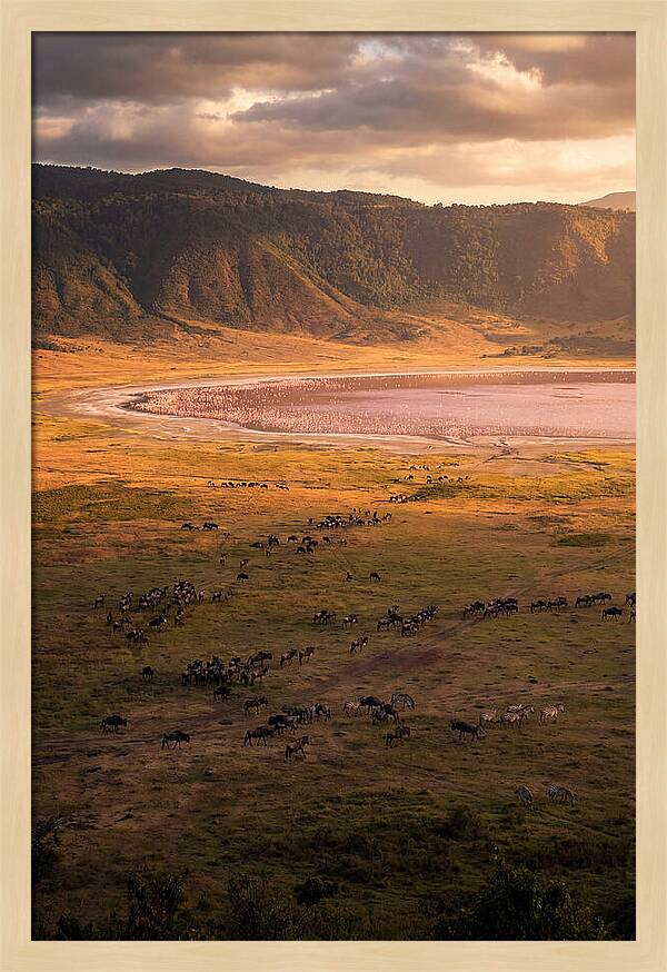 Ngorongoro Crater At Golden Hour