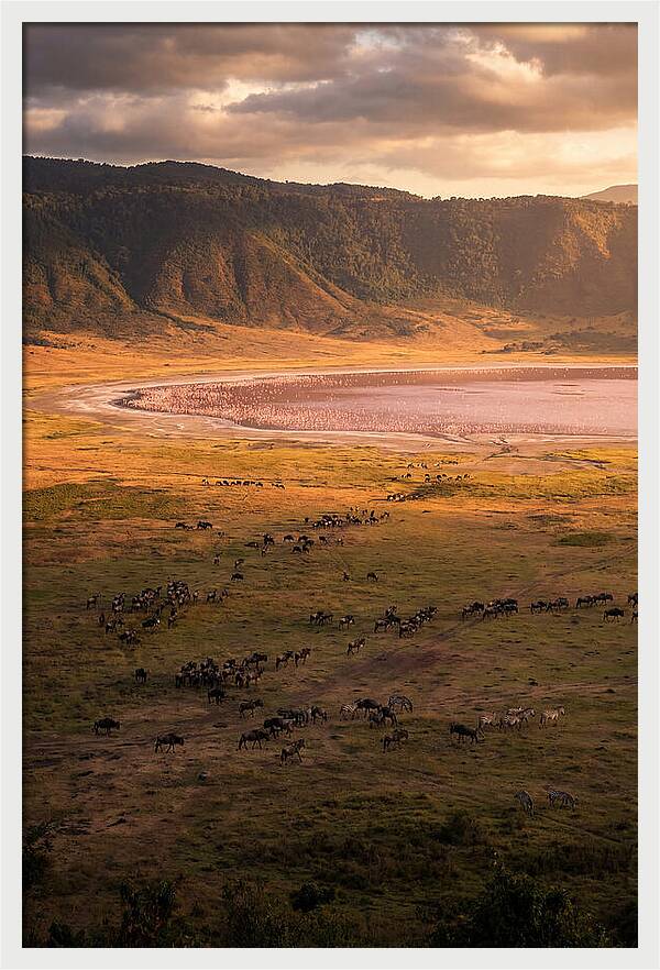 Ngorongoro Crater At Golden Hour