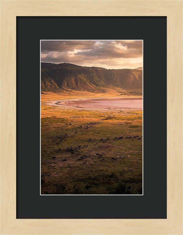 Ngorongoro Crater At Golden Hour