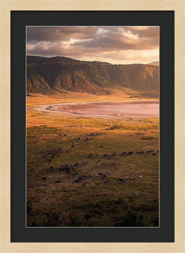 Ngorongoro Crater At Golden Hour