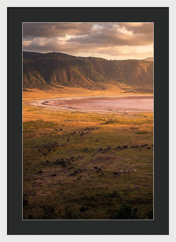 Ngorongoro Crater At Golden Hour