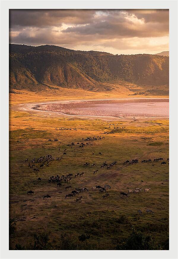 Ngorongoro Crater At Golden Hour