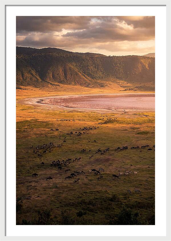 Ngorongoro Crater At Golden Hour