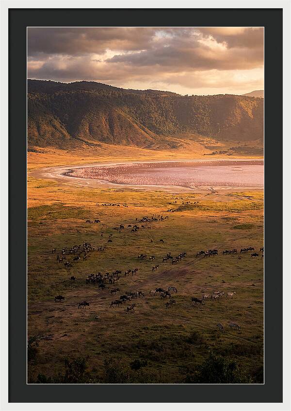 Ngorongoro Crater At Golden Hour