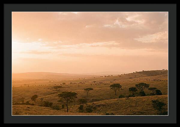 Ngorongoro Crater Vista At Dusk