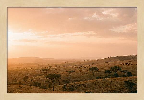 Ngorongoro Crater Vista At Dusk