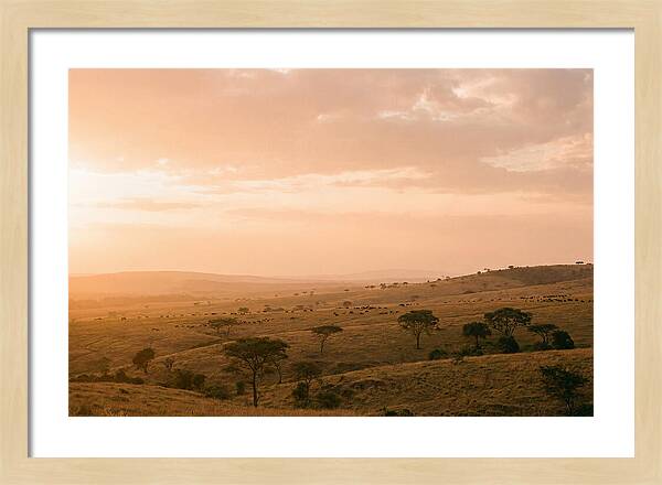 Ngorongoro Crater Vista At Dusk