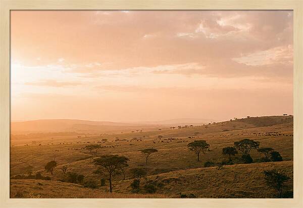Ngorongoro Crater Vista At Dusk