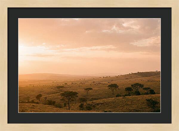 Ngorongoro Crater Vista At Dusk