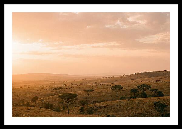 Ngorongoro Crater Vista At Dusk