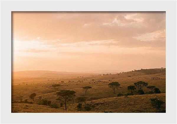 Ngorongoro Crater Vista At Dusk