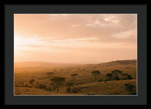 Ngorongoro Crater Vista At Dusk