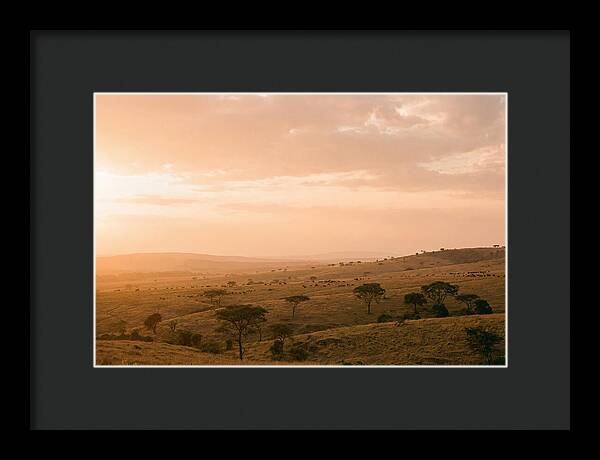 Ngorongoro Crater Vista At Dusk