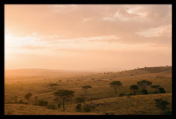 Ngorongoro Crater Vista At Dusk