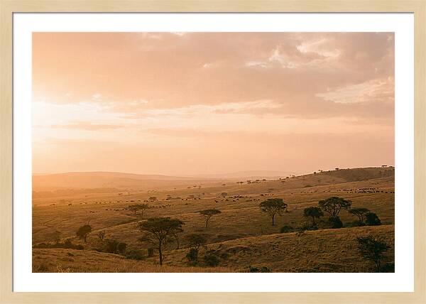 Ngorongoro Crater Vista At Dusk
