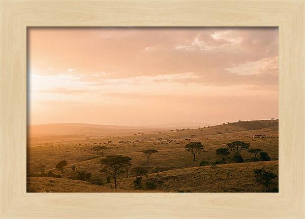 Ngorongoro Crater Vista At Dusk