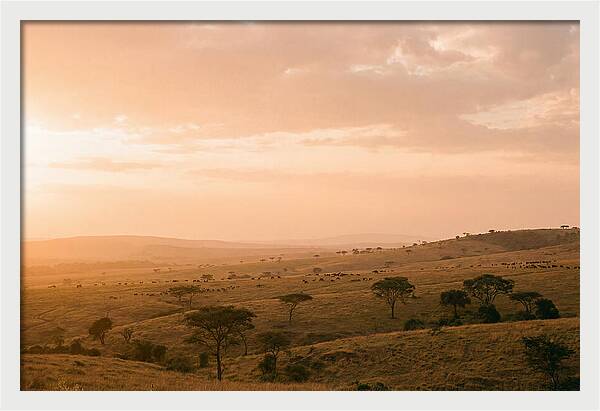 Ngorongoro Crater Vista At Dusk