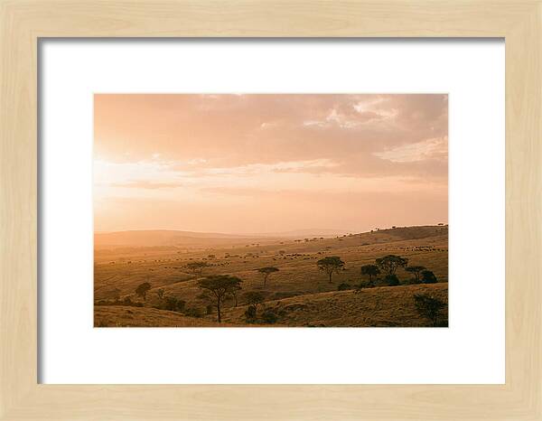 Ngorongoro Crater Vista At Dusk