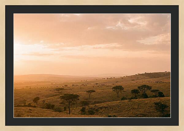 Ngorongoro Crater Vista At Dusk
