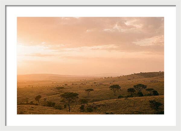 Ngorongoro Crater Vista At Dusk