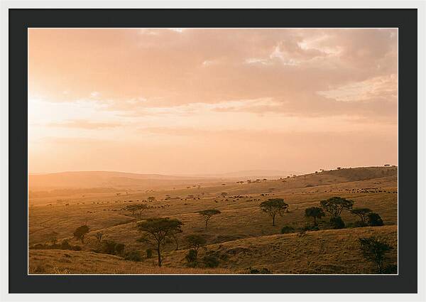 Ngorongoro Crater Vista At Dusk