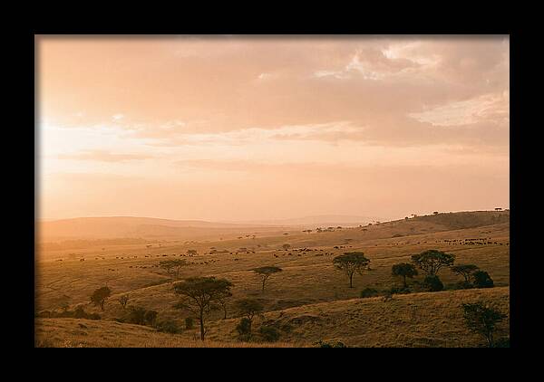 Ngorongoro Crater Vista At Dusk
