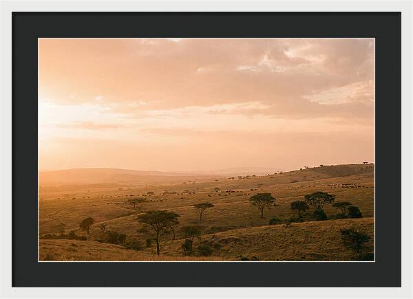 Ngorongoro Crater Vista At Dusk