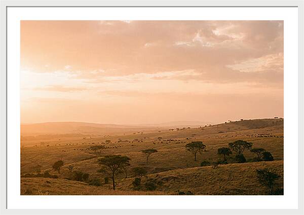 Ngorongoro Crater Vista At Dusk