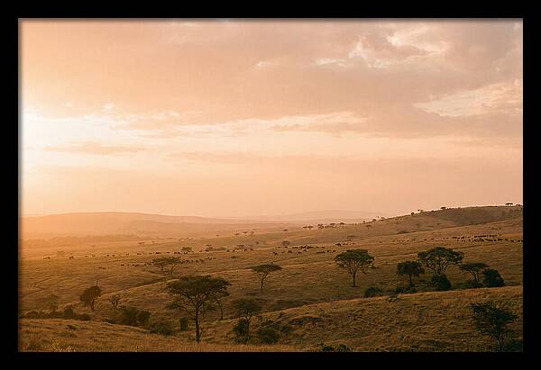 Ngorongoro Crater Vista At Dusk