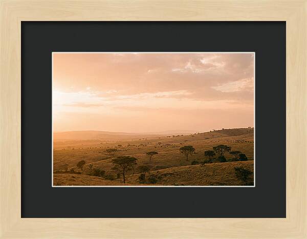 Ngorongoro Crater Vista At Dusk