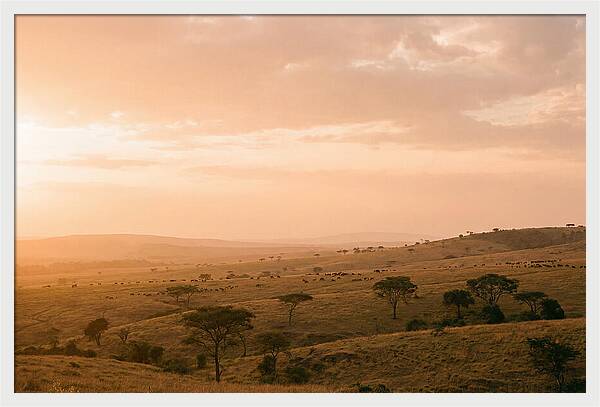 Ngorongoro Crater Vista At Dusk