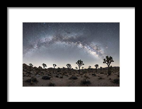 Night Sky Over Joshua Tree