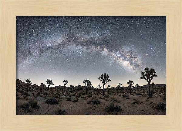 Night Sky Over Joshua Tree