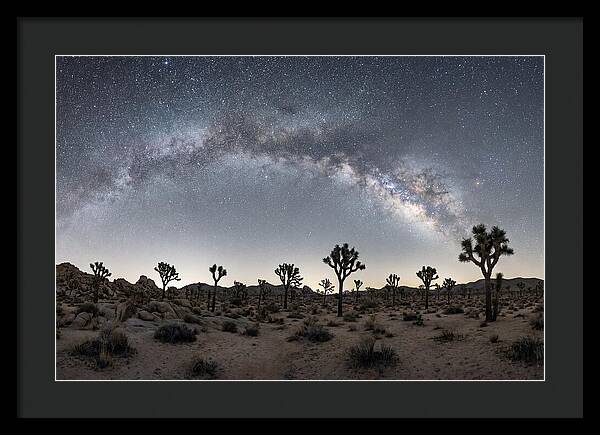 Night Sky Over Joshua Tree