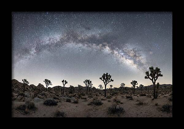 Night Sky Over Joshua Tree