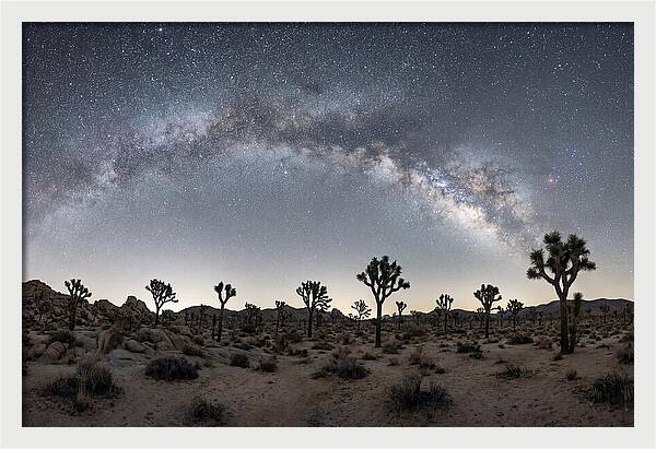 Night Sky Over Joshua Tree