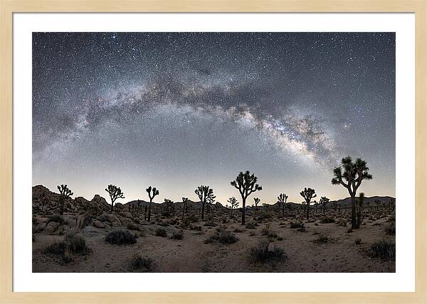 Night Sky Over Joshua Tree