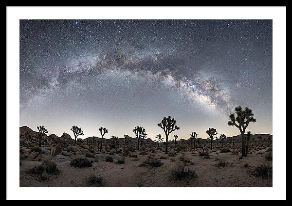 Night Sky Over Joshua Tree